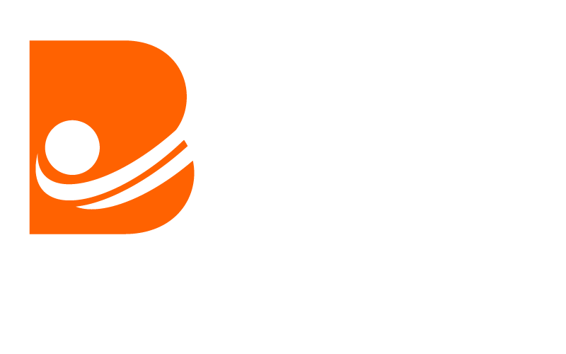 Business Solutions Services London Logo